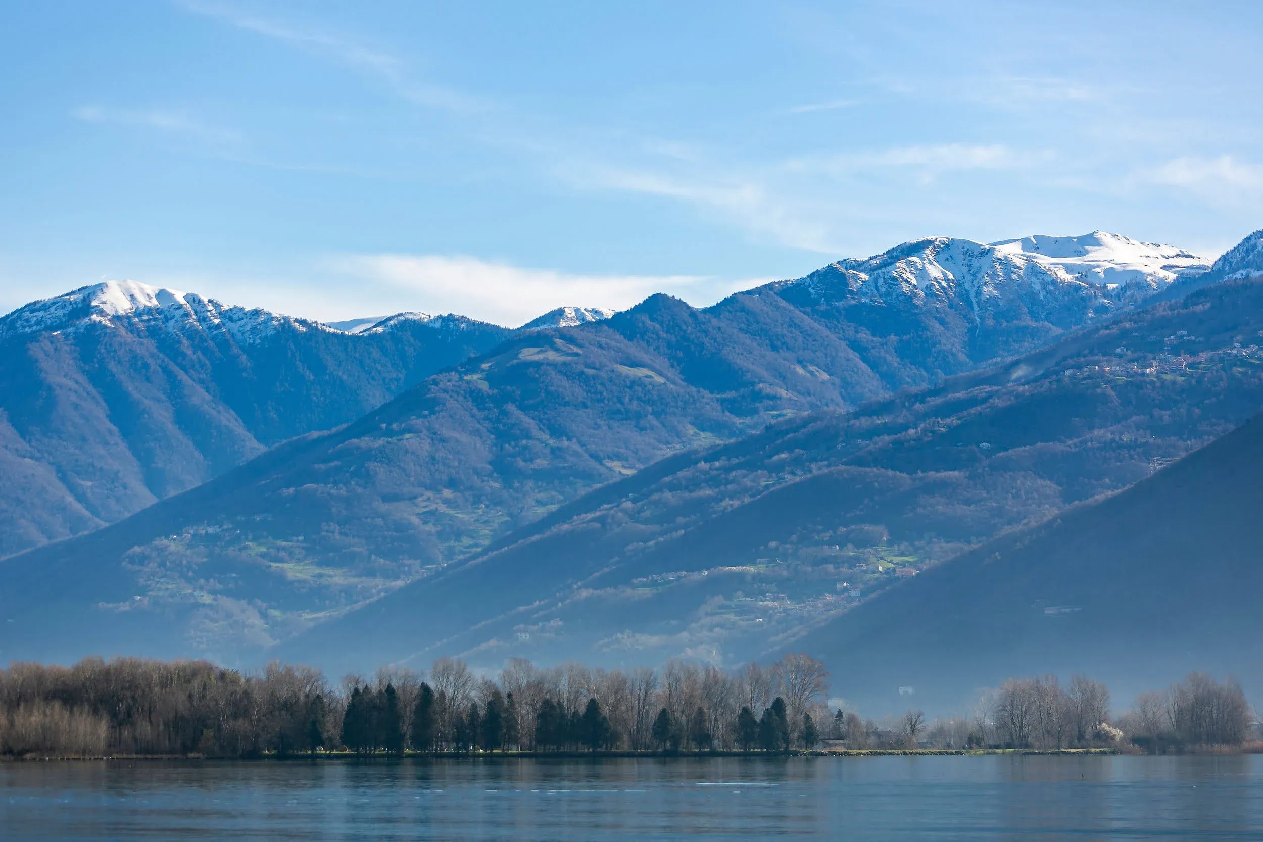 governance-dell-amministrazione-fondazione-martinoli